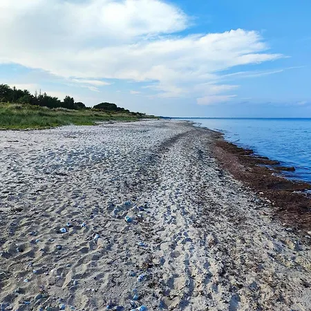 6 Person In Gedser-by Traum *